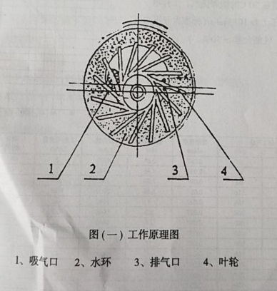 2BVA水环式真空泵